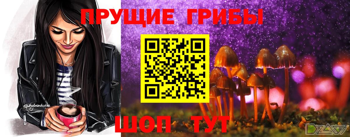 Псилоцибиновые грибы GOLDEN TEACHER  Псилоцибиновые грибы Psilocybe  Нефтекумск  Вход с VPN 